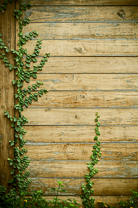 Tapis vinyle plantes vignes sur bois - TenStickers