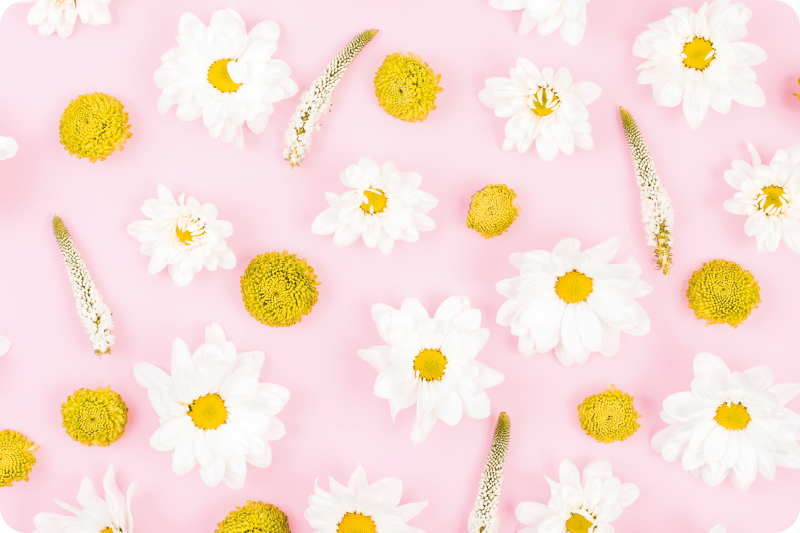 Tapis vinyle plantes fleurs colorées - TenStickers