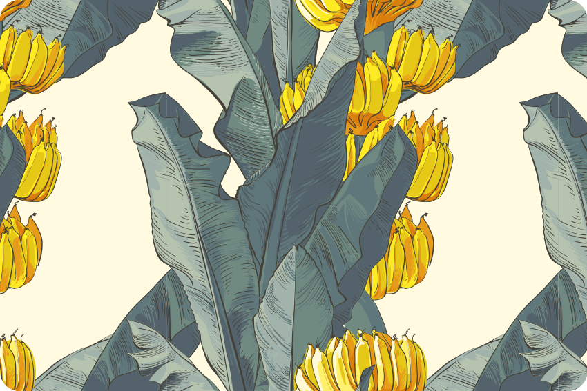 Tapis vinyle plantes motif artistique bananier - TenStickers