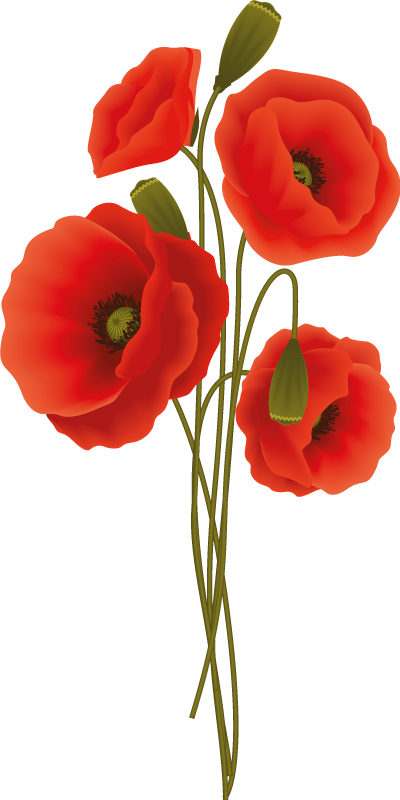 Tapis vinyle salle de bain coquelicots délicats - TenStickers