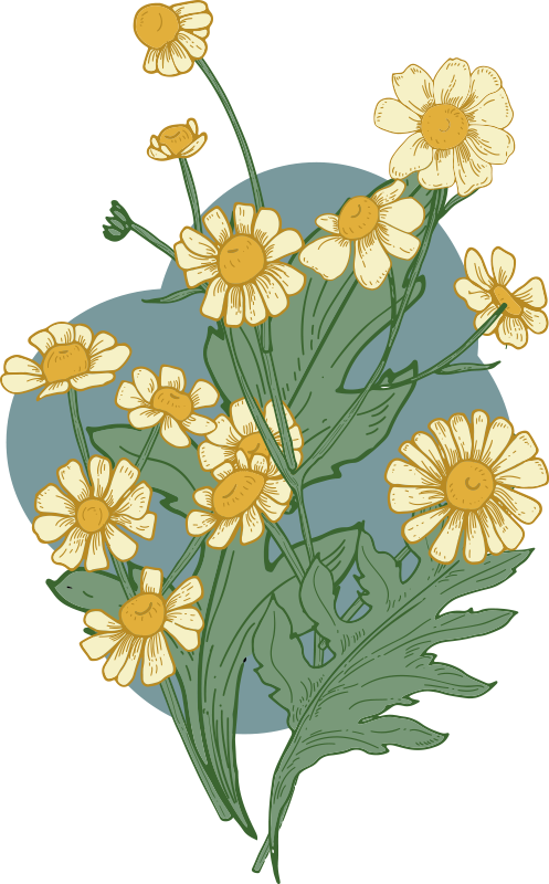 Tapis vinyle plantes composition Éclatante de fleurs - TenStickers