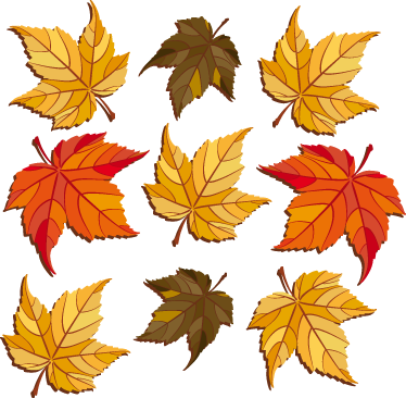 Tapis vinyle nature feuilles d'automne - TenStickers