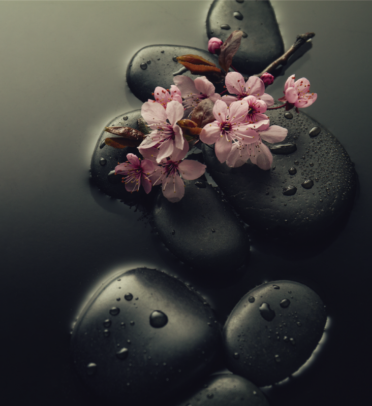 Tapis vinyle nature ambiance zen avec pierre toilette - TenStickers