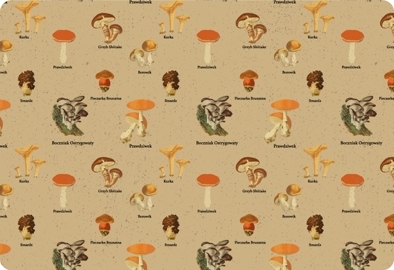 Tapis vinyle nature types de champignons vintage - TenStickers