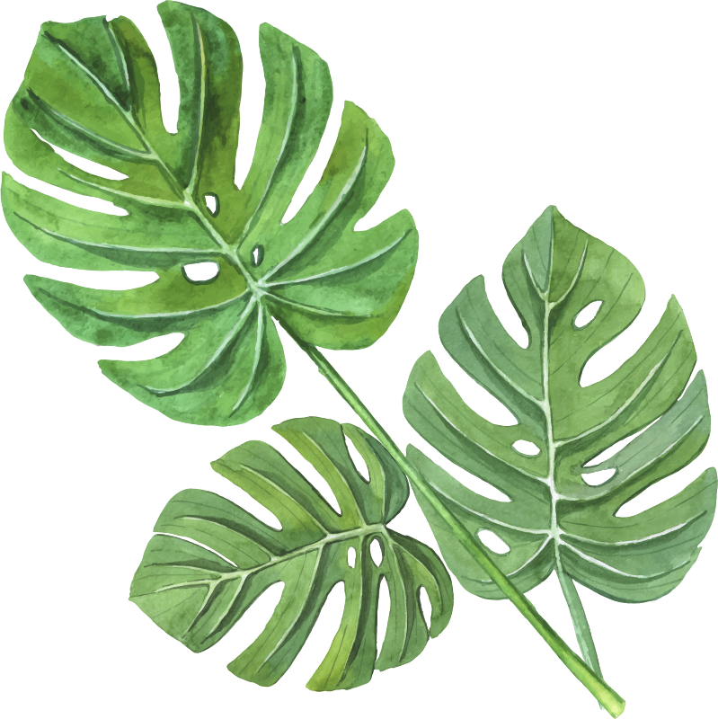 Tapis vinyle plantes feuilles aquarelle monstera - TenStickers