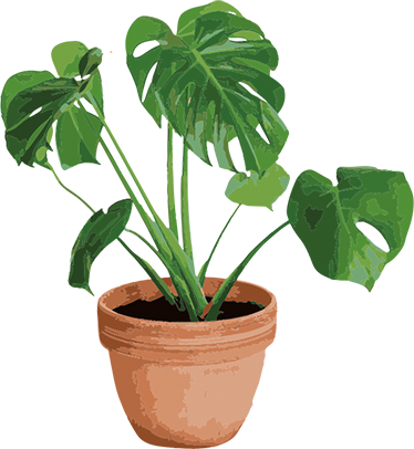 Tapis vinyle plantes pot de monstera simple - TenStickers