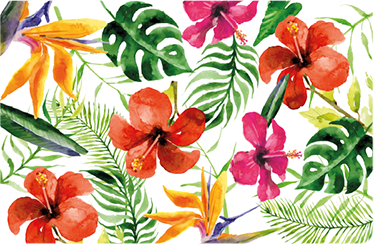 Tapis vinyle plantes monstera deliciosa portable - TenStickers