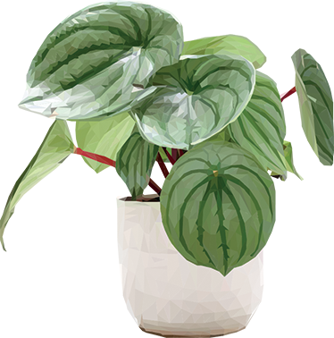 Tapis vinyle plantes plante d'intérieur simple - TenStickers