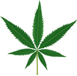 Tapis vinyle plantes feuille de marijuana - TenStickers