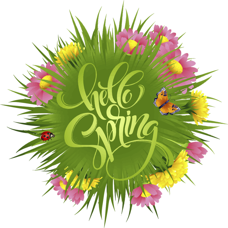 Tapis vinyle plantes fleurs des champs printemps - TenStickers