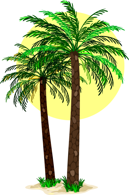 Tapis vinyle plantes palmiers tropicaux - TenStickers
