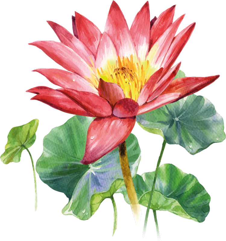 Tapis vinyle chambre illusion aquarelle lotus - TenStickers
