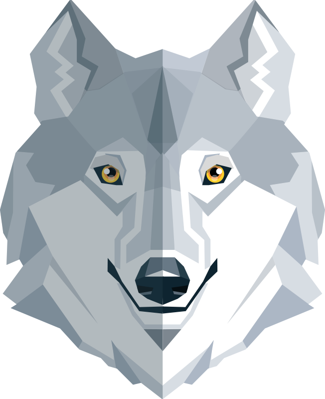 Tapis vinyle chambre design de loup abstrait - TenStickers