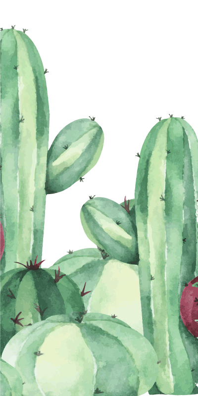 Tapis vinyle salle de bain plantes cactus - TenStickers