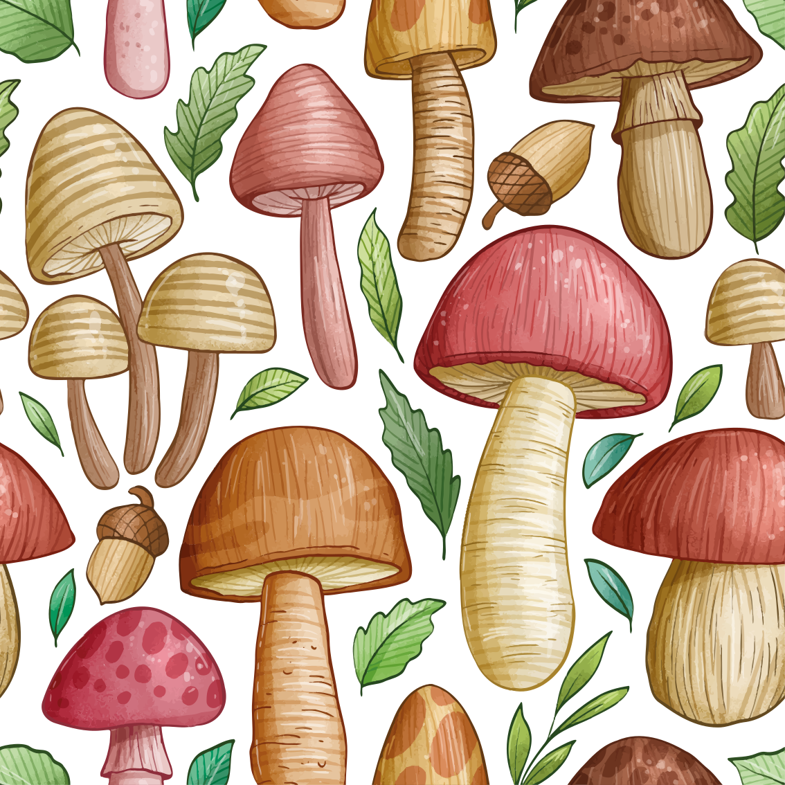 Tapis vinyle cuisine collection de champignons variés - TenStickers