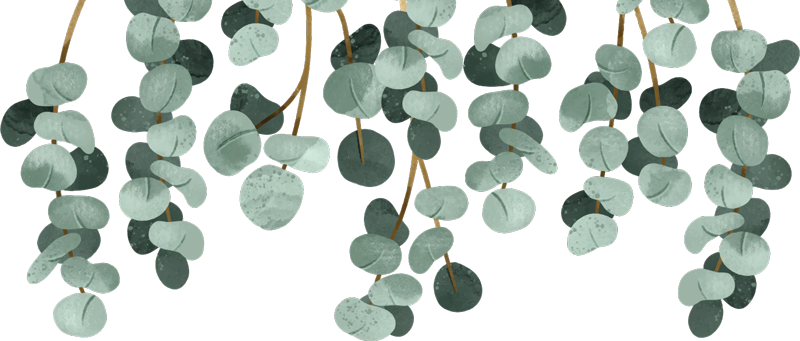 Tapis vinyle chambre plantes suspendues - TenStickers