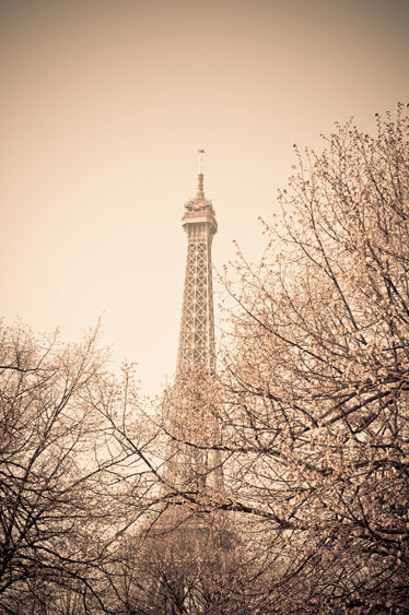 Tapis vinyle chambre photo de la tour eiffel arbres - TenStickers