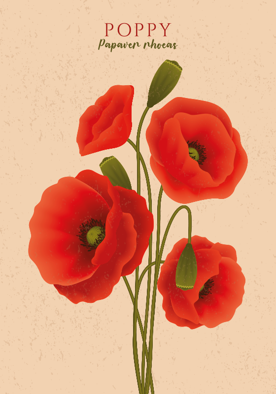 Tapis vinyle plantes coquelicots - TenStickers
