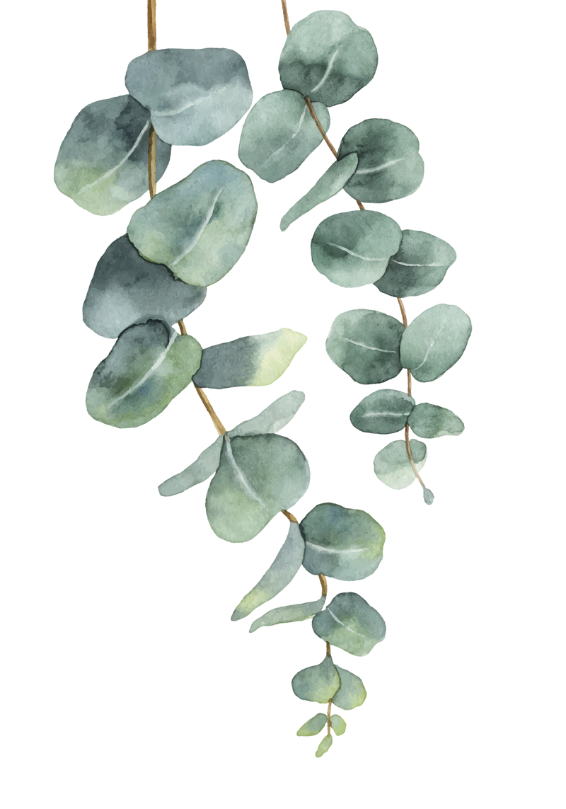 Tapis vinyle plantes branches d'eucalyptus - TenStickers