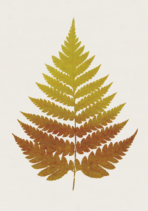Tapis vinyle plantes feuille de fougère dorée - TenStickers