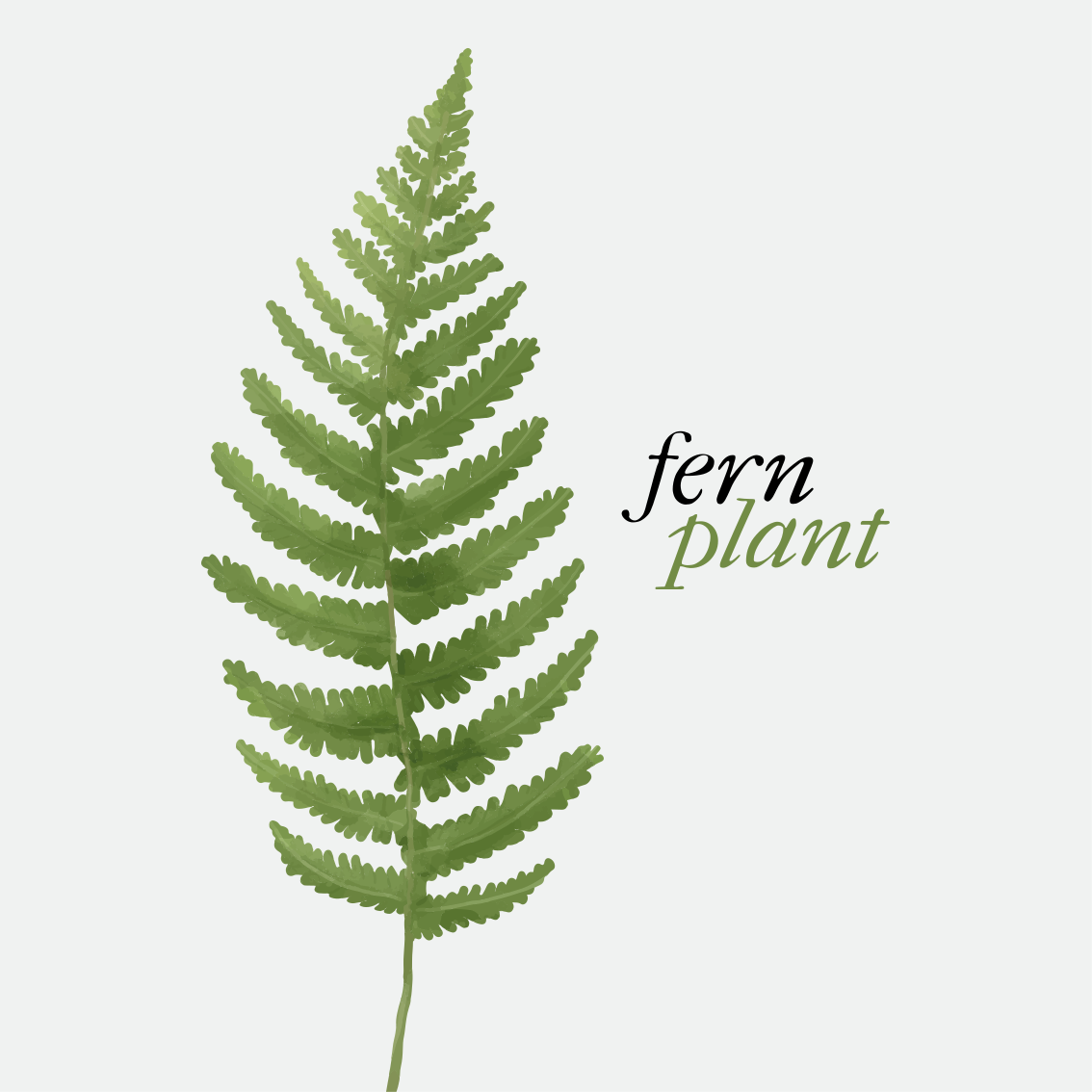 Tapis vinyle citation plante fougère style minimaliste - TenStickers