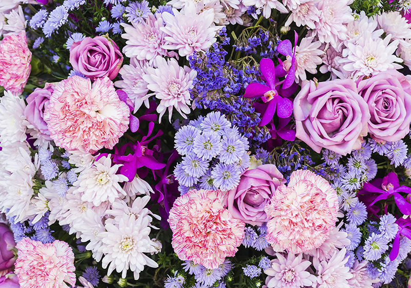 Tapis vinyle violet fleurs murales - TenStickers