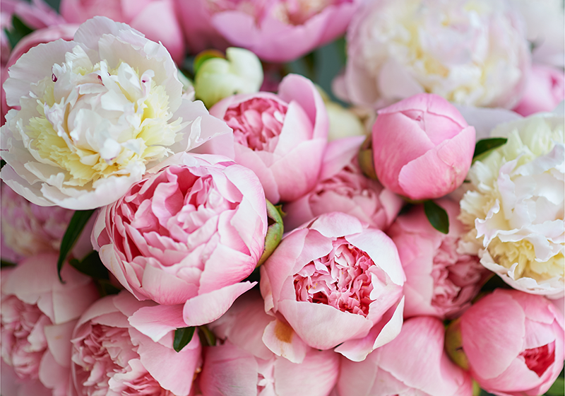 Tapis vinyle rose bouquet de roses pink - TenStickers