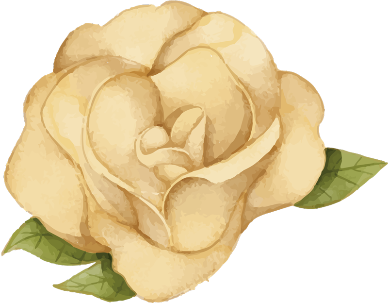 Tapis vinyle plantes contour floral - TenStickers