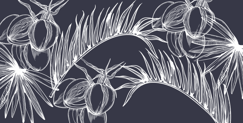 Tapis vinyle plantes dessin au trait botanique - TenStickers