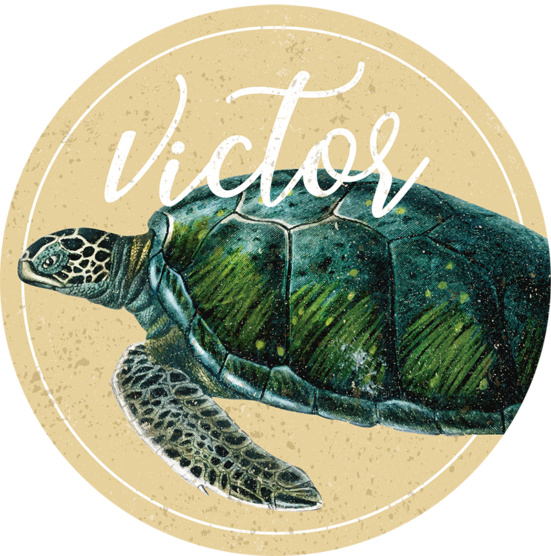 Tapis vinyle personnalisé tortue personnalisée - TenStickers