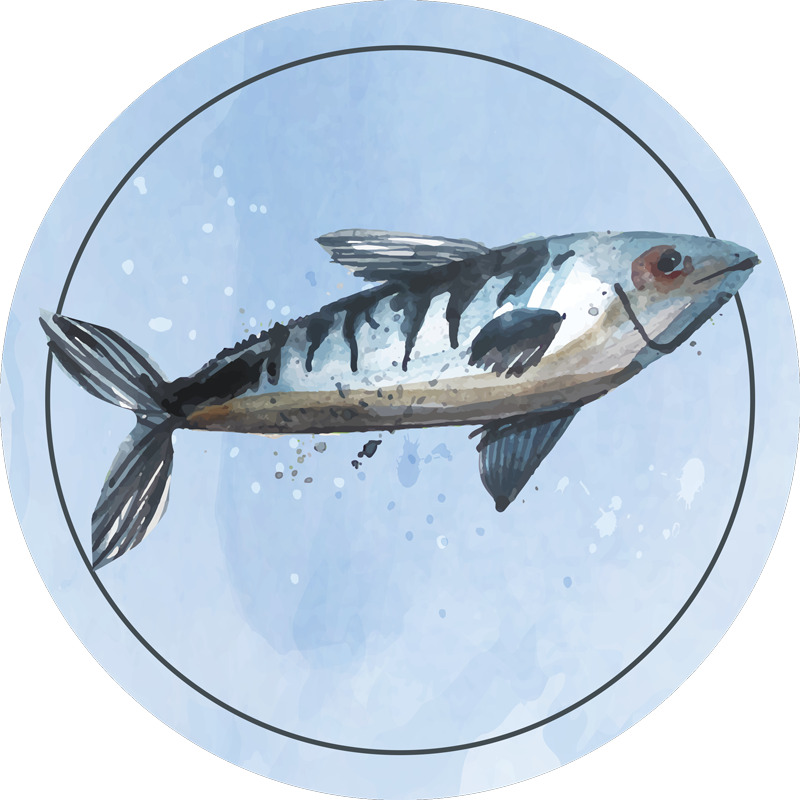 Tapis vinyle animal exploration aquatique - TenStickers