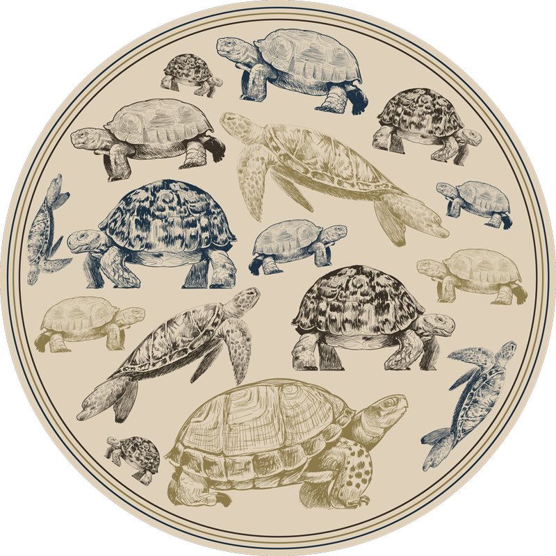 Tapis vinyle animal illustrations de tortue - TenStickers
