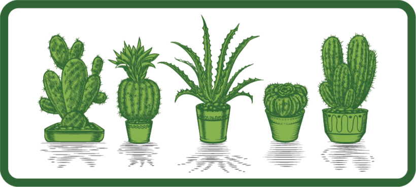 Tapis vinyle plantes collection de cactus - TenStickers