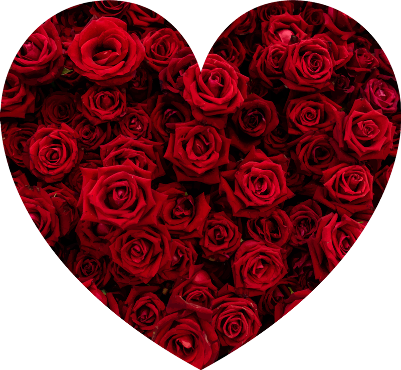 Tapis vinyle plantes romance en forme de coeur - TenStickers