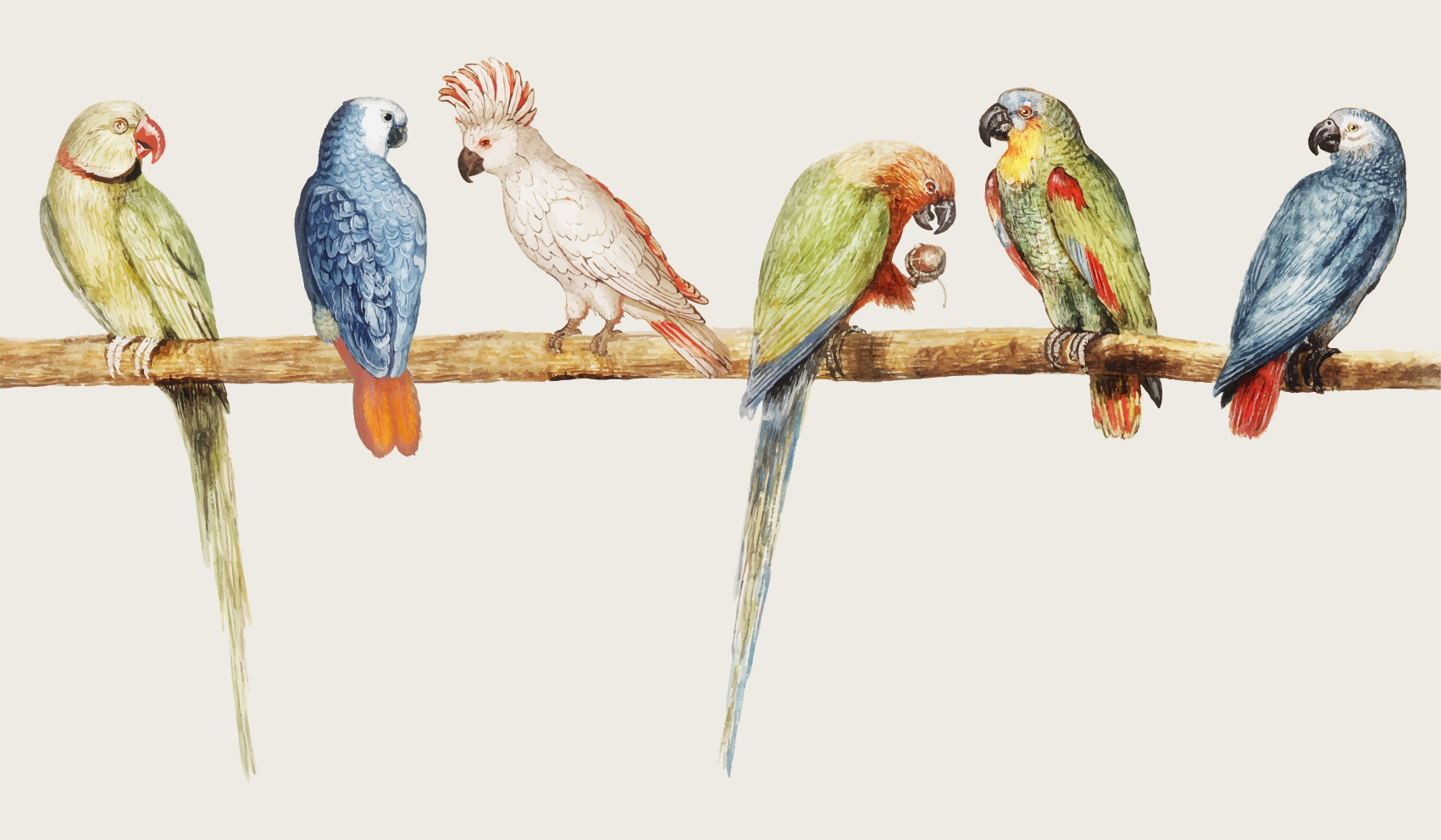 Tapis vinyle animal illustration de perroquet - TenStickers