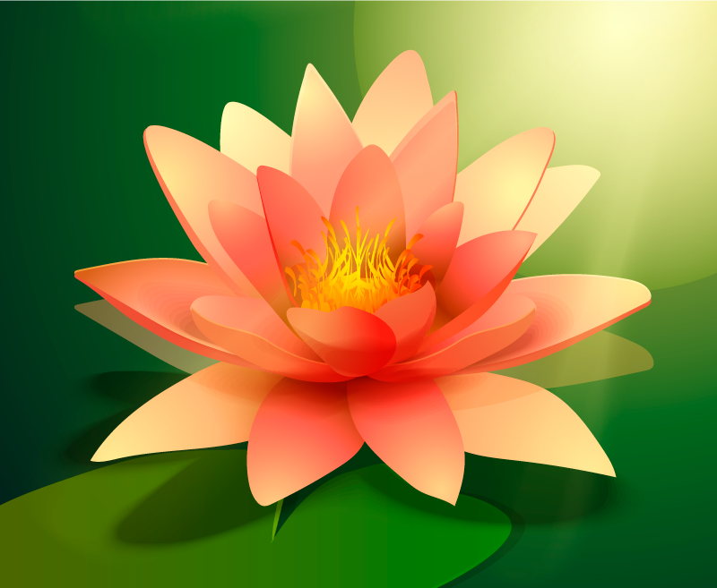 Tapis vinyle plantes lotus en fleurs - TenStickers