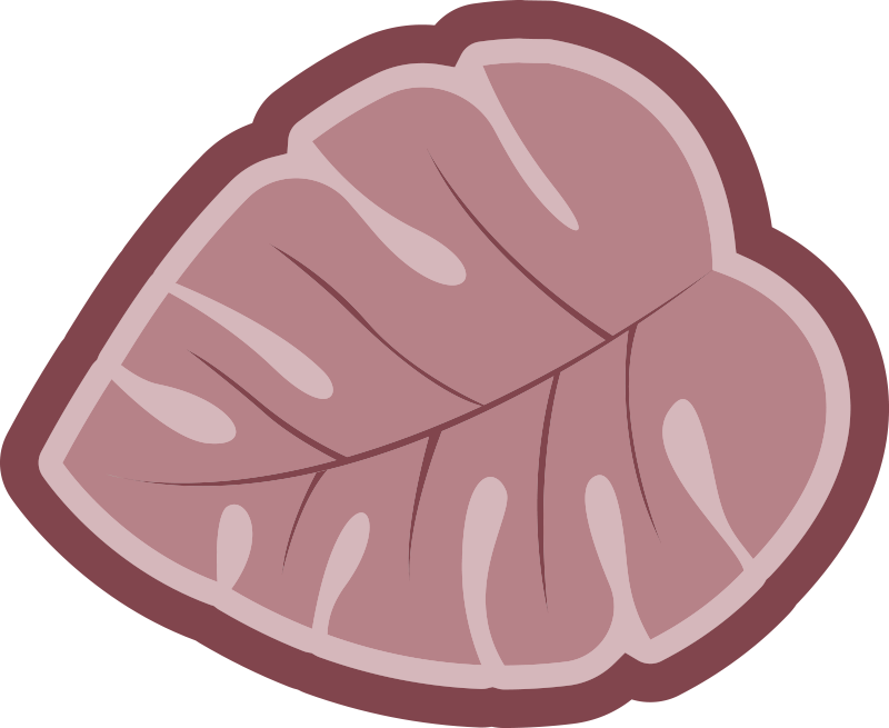 Tapis vinyle plantes forme de feuille botanique - TenStickers