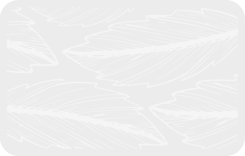 Tapis vinyle nature motif d'empreinte de plume - TenStickers