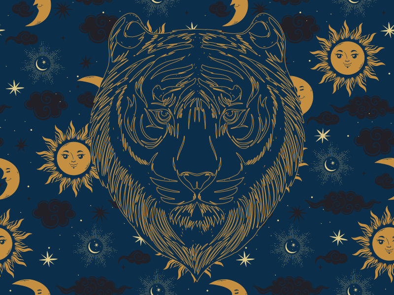 Tapis vinyle motif animal tigre et soleils - TenStickers