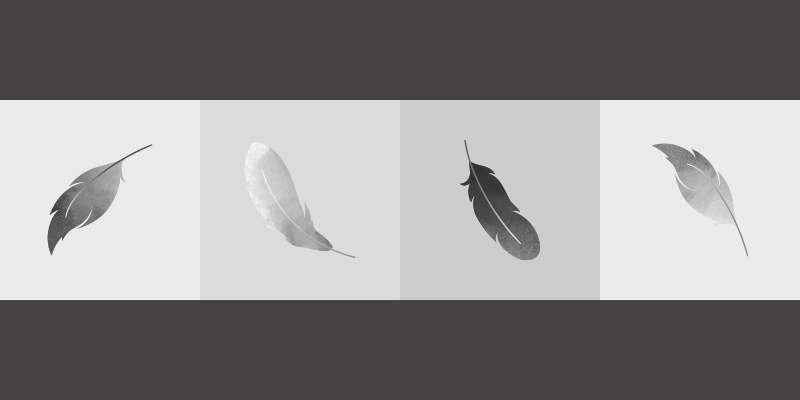 Tapis vinyle animal minimalisme des plumes - TenStickers