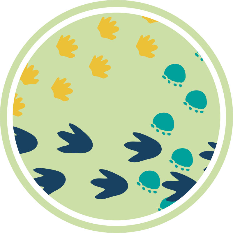 Tapis vinyle autres tapis design empreintes de dinosaures - TenStickers