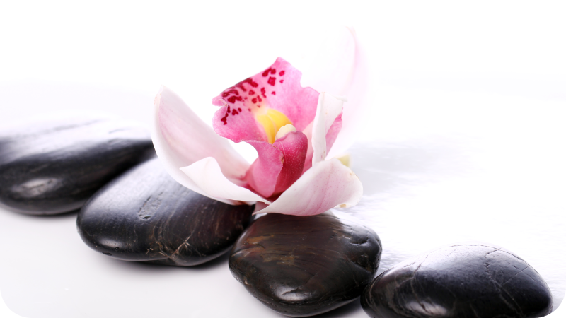 Tapis vinyle nature élégante sérénité florale - TenStickers