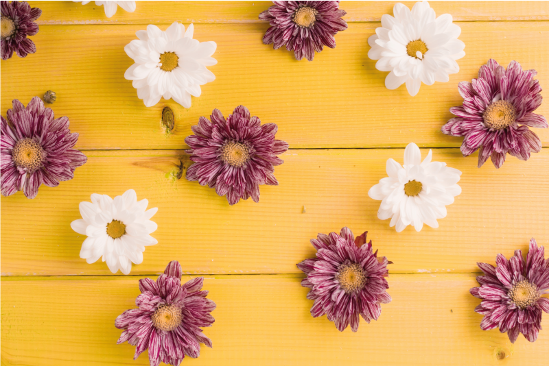 Tapis vinyle plantes pétales roses et blancs - TenStickers