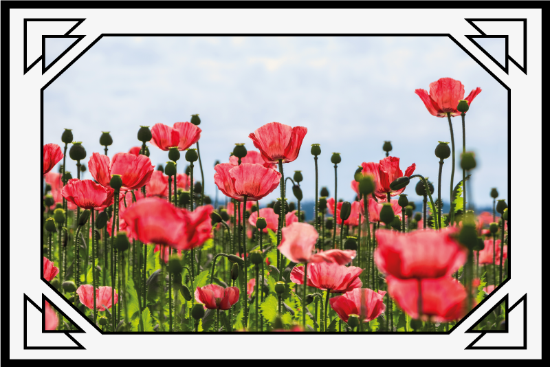 Tapis vinyle plantes champ de coquelicots coloré - TenStickers