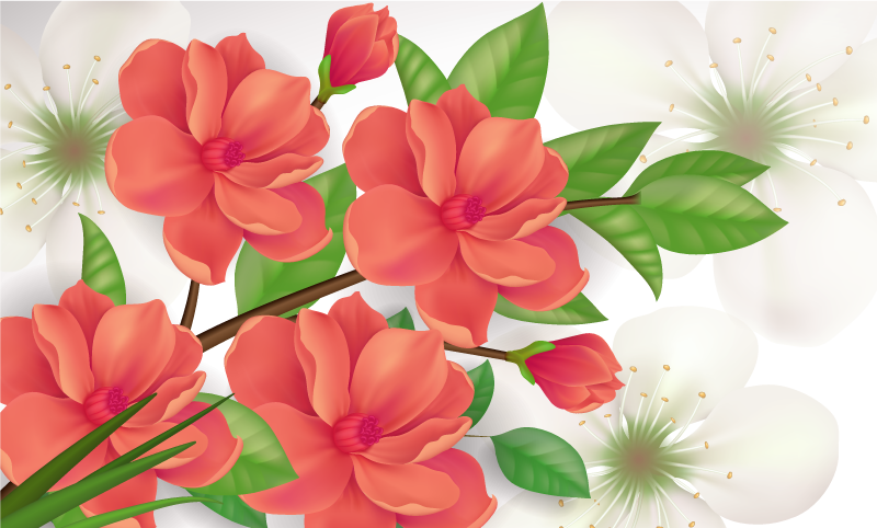 Tapis vinyle plantes arrangement fleuri coloré - TenStickers