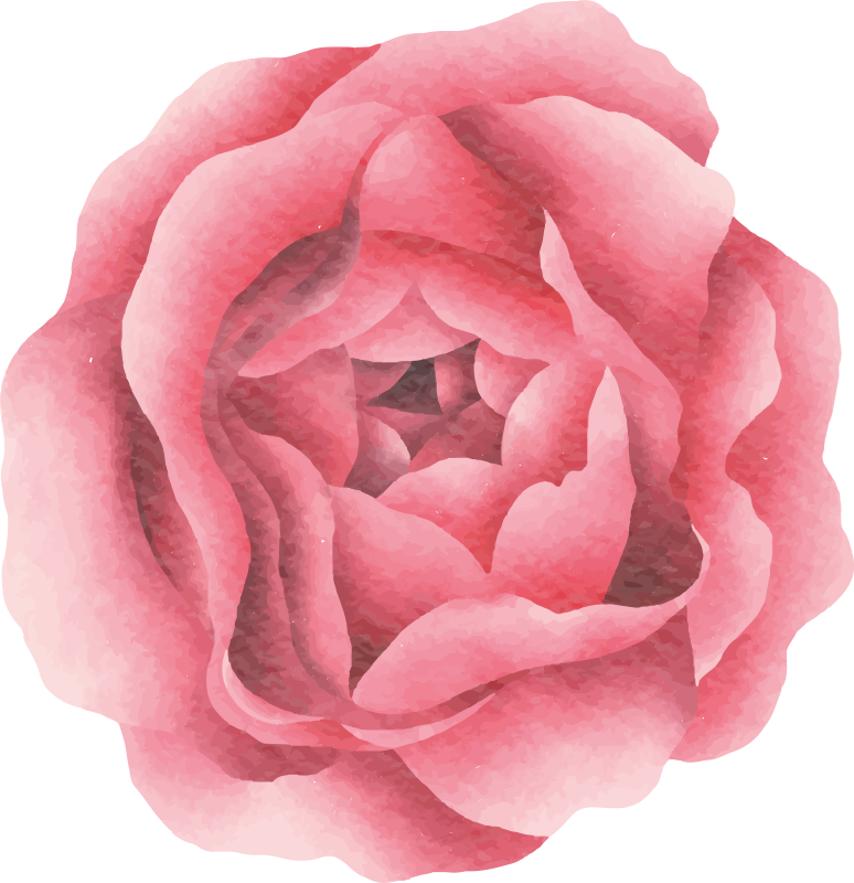 Tapis vinyle plantes fleur rose blush - TenStickers