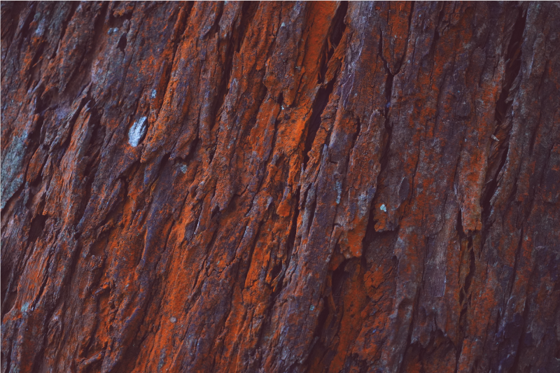 Tapis vinyle imitation parquet écorce rustique - TenStickers