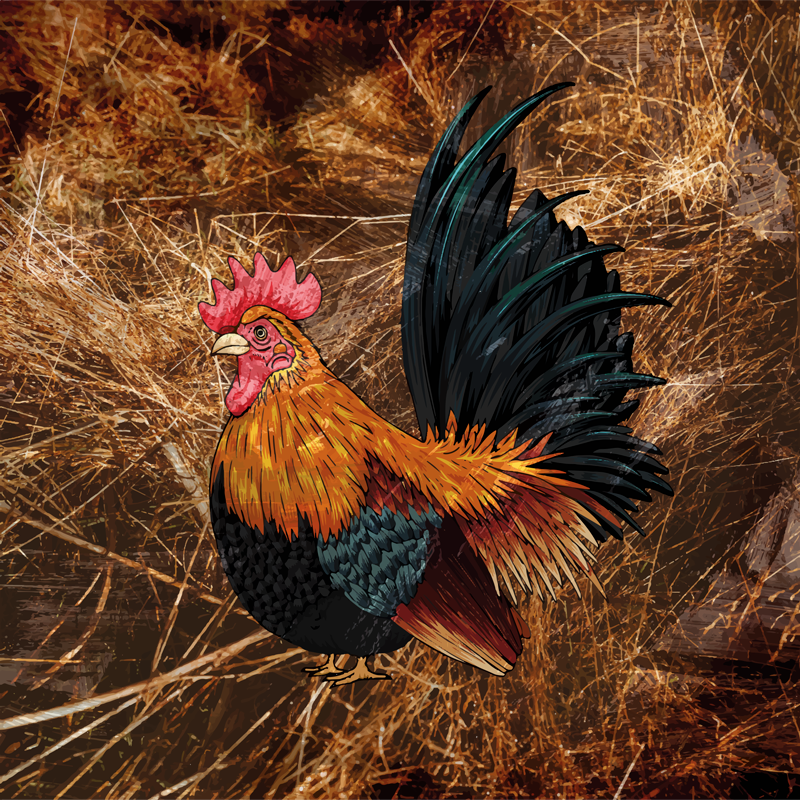 Tapis vinyle motif animal coq vibrant - TenStickers