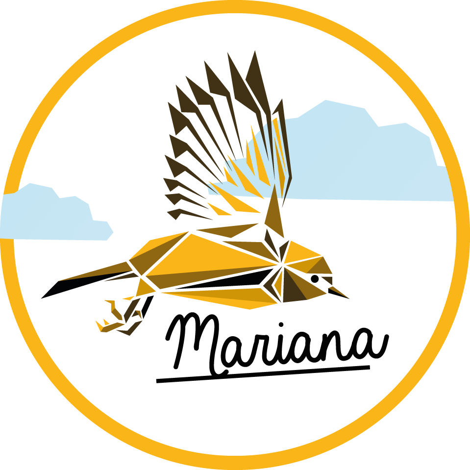 Tapis vinyle personnalisé oiseau sur mesure - TenStickers