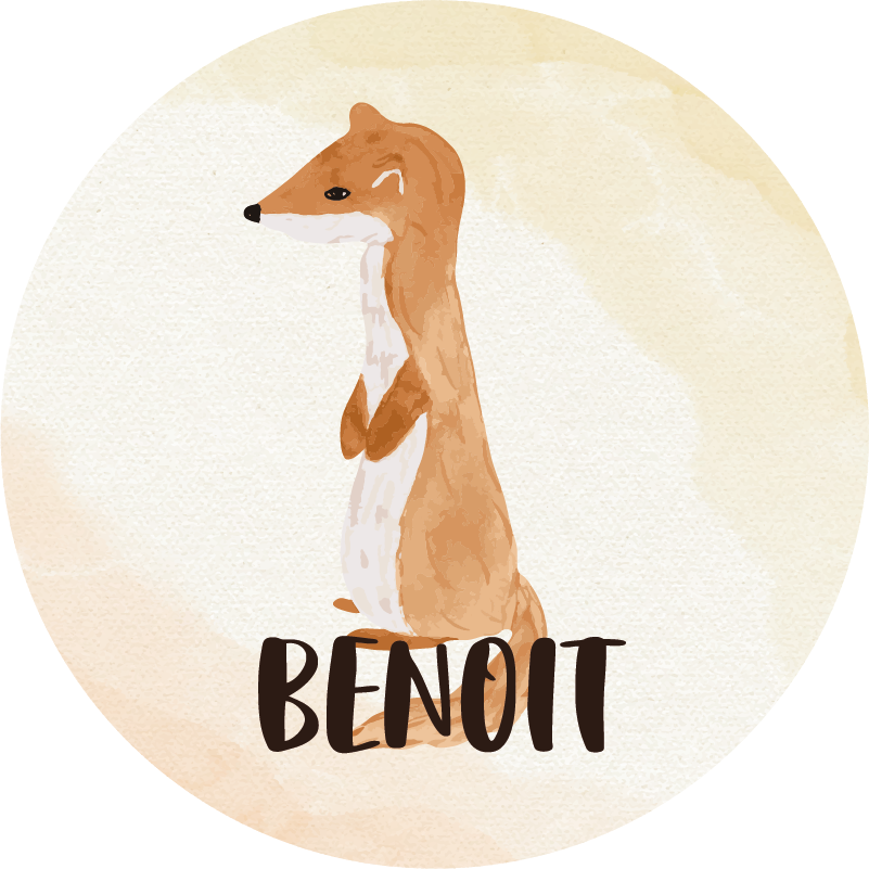 Tapis vinyle dessin Fouine personnalisable - TenStickers